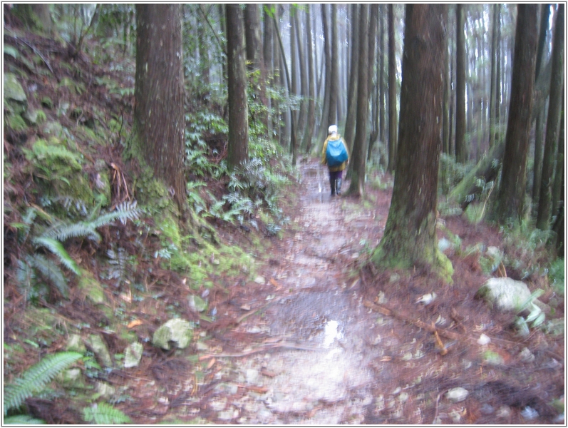 2012-12-01 14-50-54走在橫嶺山自然步道(木馬古道).JPG